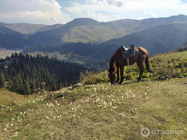 Курорт Бахмаро (Грузия, Гурия) фото