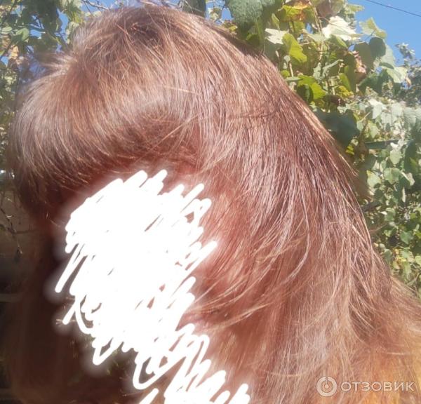 Краска для волос Schwarzkopf Igora Royal Absolutes фото