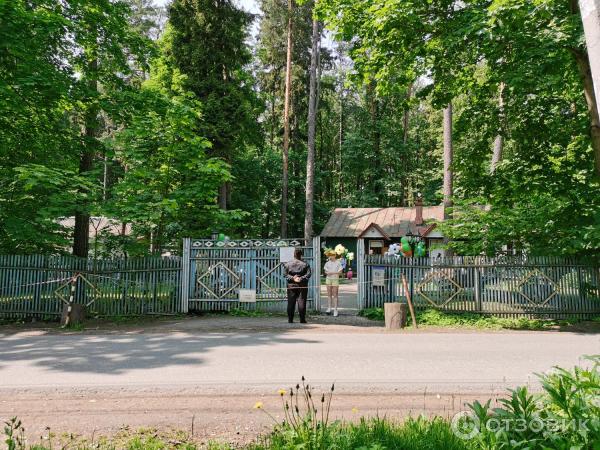 Историко-культурный заповедник Переделкино (Россия, Московская область) фото