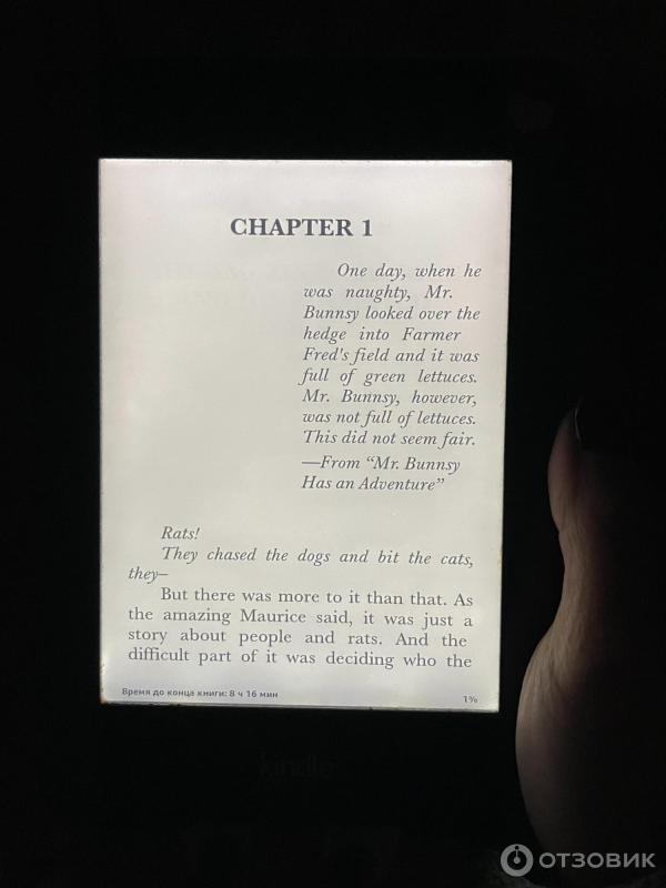 Электронная книга Amazon Kindle Paperwhite фото