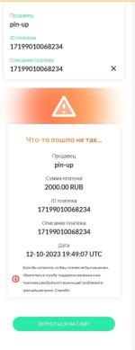 Pin-up.bet - букмекерская контора фото