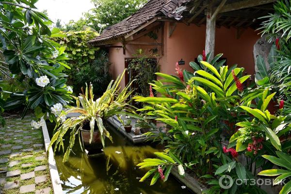 Отель D39Omah Hotel Yogya 4 (Индонезия, Джокьякарта) фото