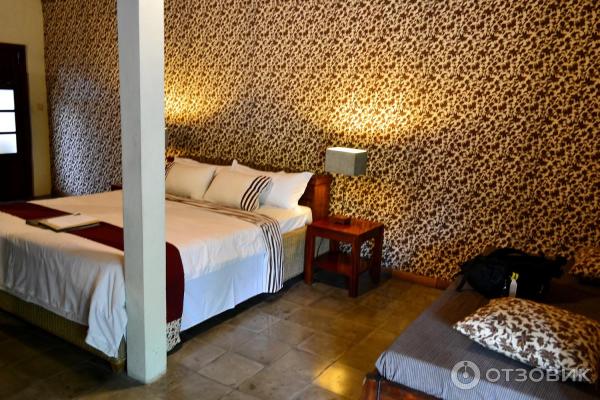 Отель D39Omah Hotel Yogya 4 (Индонезия, Джокьякарта) фото