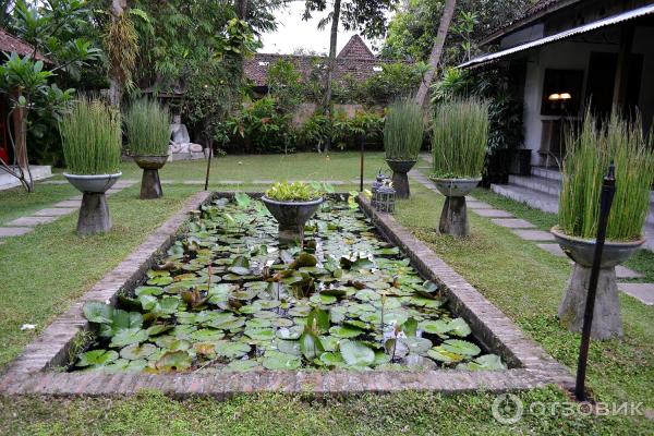 Отель D39Omah Hotel Yogya 4 (Индонезия, Джокьякарта) фото