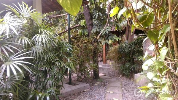 Отель D39Omah Hotel Yogya 4 (Индонезия, Джокьякарта) фото