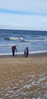 Отдых в Калининграде (Россия, Калининградская область) фото