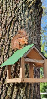 Отдых в Калининграде (Россия, Калининградская область) фото