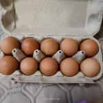 Яйца куриные "Щедрый год" фото