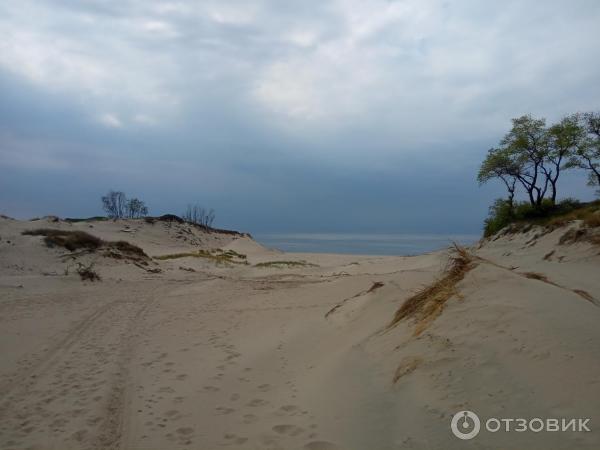 Город Балтийск (Россия, Калининградская область) фото