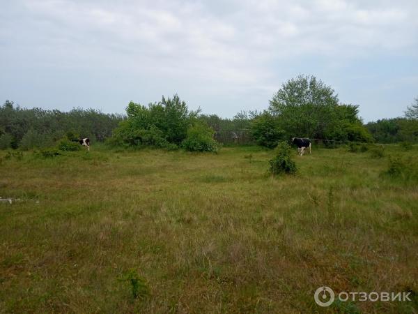 Город Балтийск (Россия, Калининградская область) фото