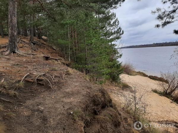 Экскурсия по г. Бор (Россия, Нижегородская область) фото