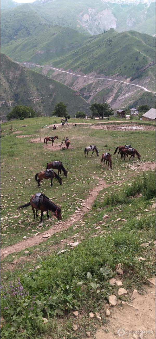 Экскурсия по старинному селу Гамсутль (Россия, Дагестан) фото