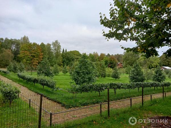 Экологическая тропа в музее-заповеднике Парк Монрепо (Россия, Выборг) фото