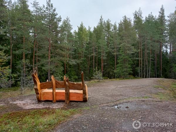 Экологическая тропа в музее-заповеднике Парк Монрепо (Россия, Выборг) фото