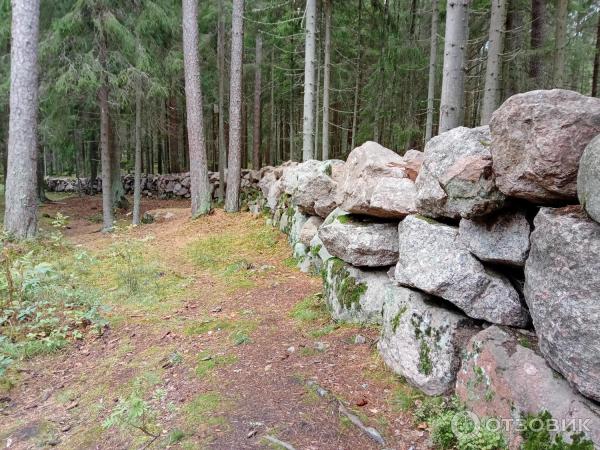 Экологическая тропа в музее-заповеднике Парк Монрепо (Россия, Выборг) фото