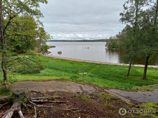 Экологическая тропа в музее-заповеднике Парк Монрепо (Россия, Выборг) фото