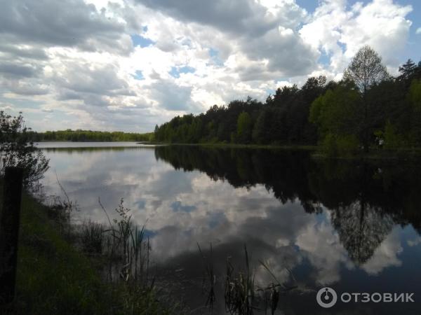 Национальный парк Орловское полесье (Россия, Орел) фото