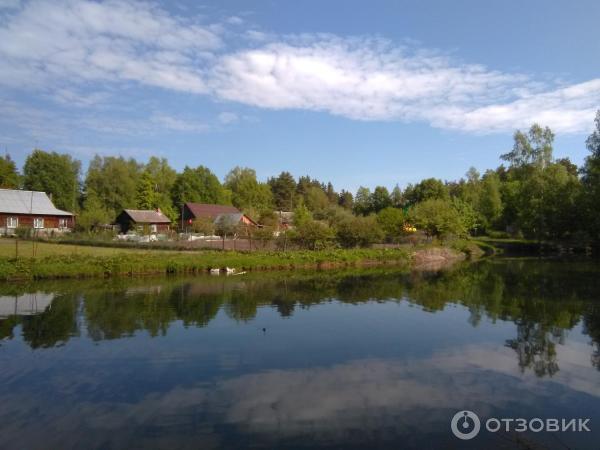 Национальный парк Орловское полесье (Россия, Орел) фото