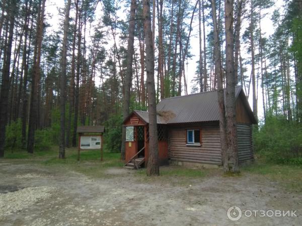 Национальный парк Орловское полесье (Россия, Орел) фото