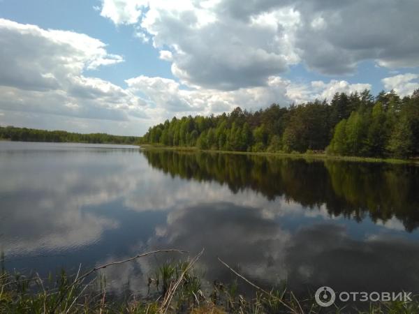 Национальный парк Орловское полесье (Россия, Орел) фото