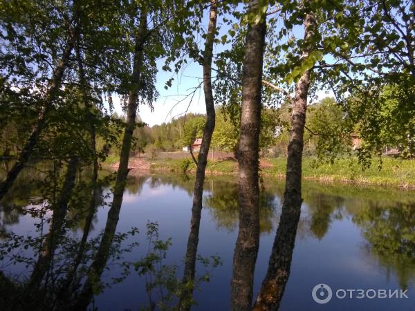 Национальный парк Орловское полесье (Россия, Орел) фото