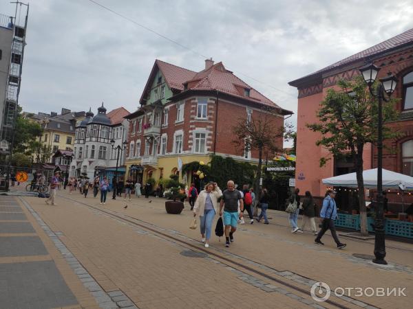 Отдых в г. Зеленоградск (Россия, Калининградская область) фото