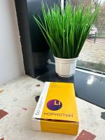 БАД АртЛайф "Нормотим" фото