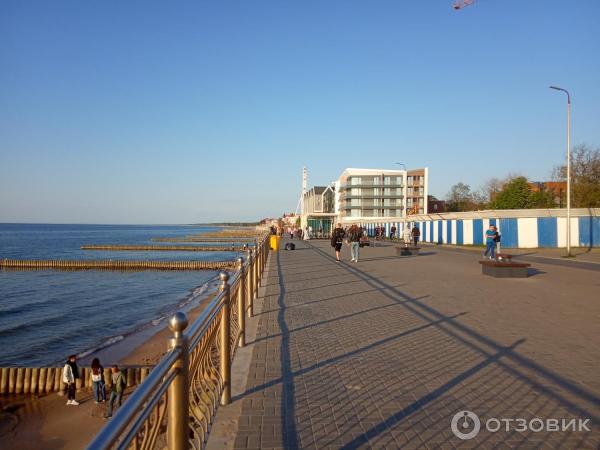 Отдых в г. Зеленоградск (Россия, Калининградская область) фото