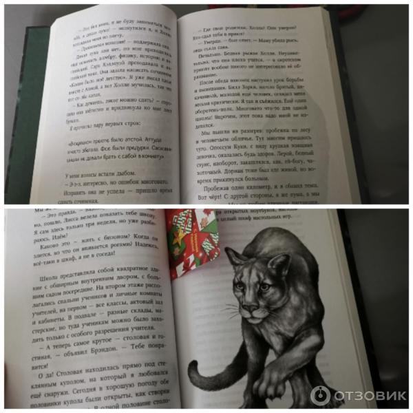 Серия книг Дети леса - Катя Брандис фото