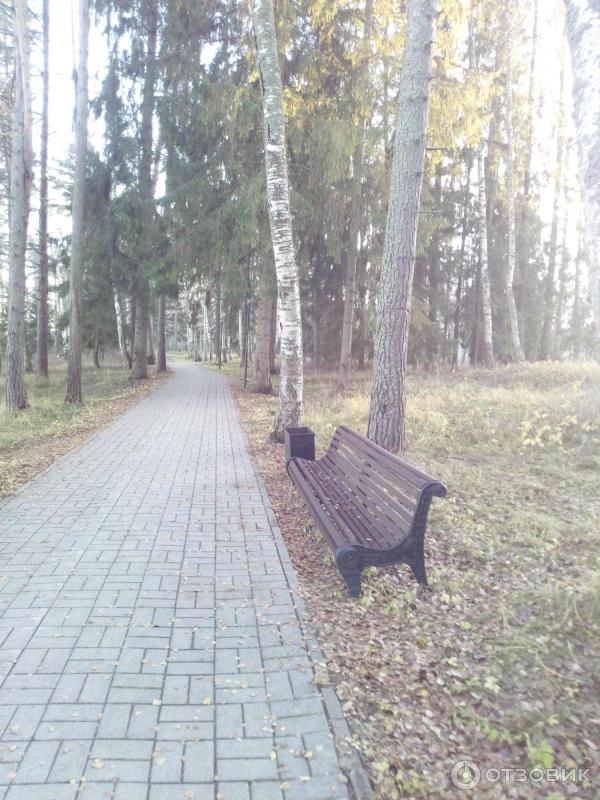 Санаторий Серебряный плес (Россия, Костромская область) фото