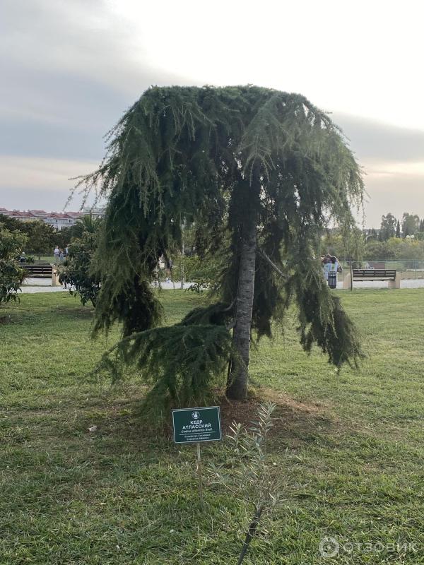 Орнитологический парк в Имеретинской низменности (Россия, Сочи) фото