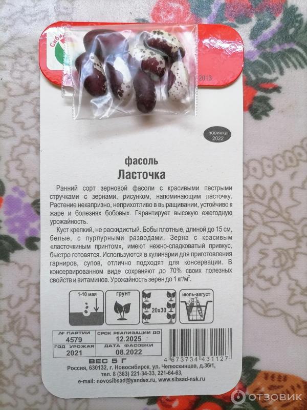 Фасоль сорт ласточка. Сорта фасоли ласточка. фасоль ласточка блюда.