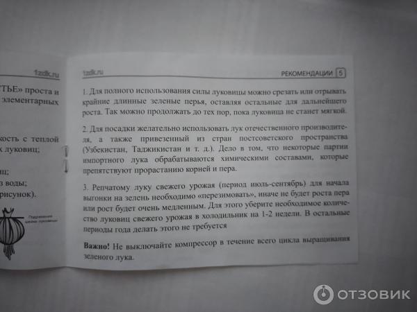 Устройство для выращивания лука на подоконнике