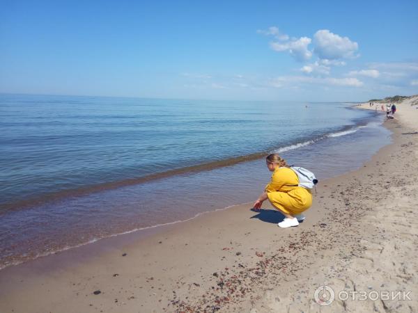 Отдых на Куршской косе (Россия, Калининградская область) фото