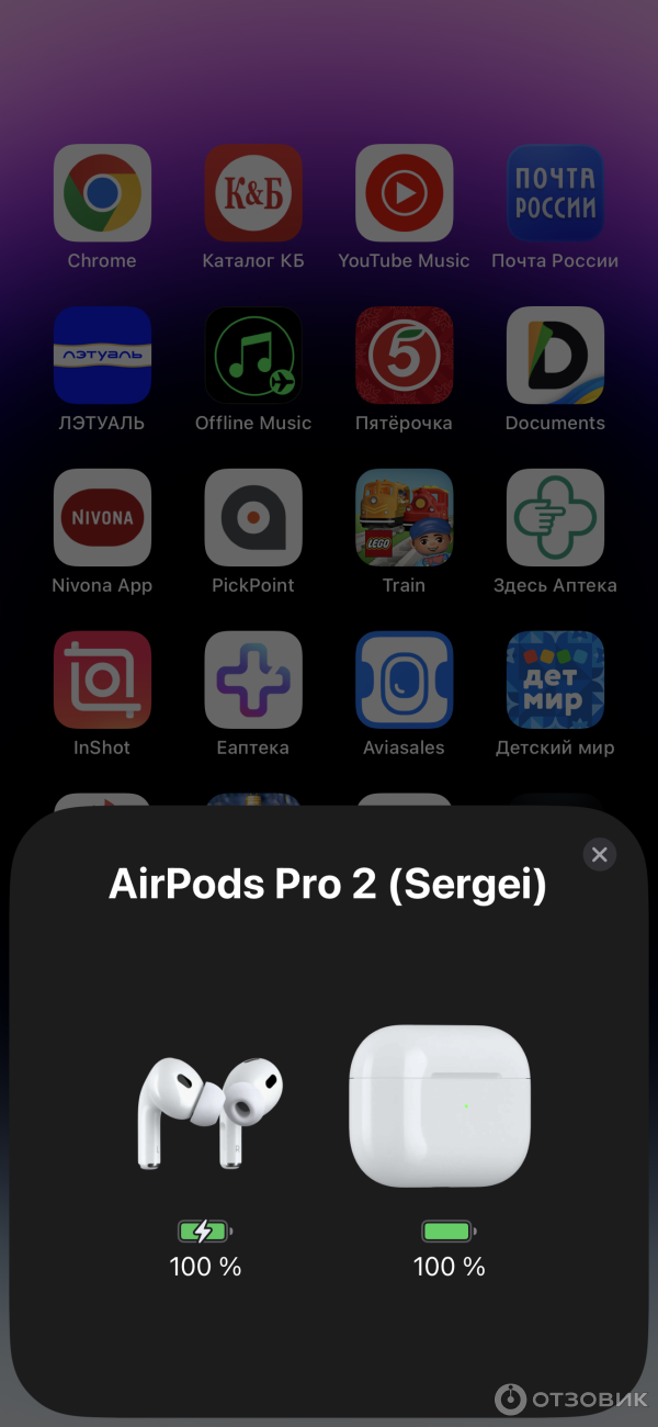 Беспроводные наушники Apple AirPods Pro 2 фото