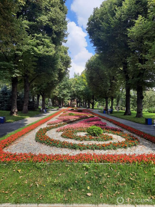 Большой Кремлевский сквер (Россия, Москва) фото