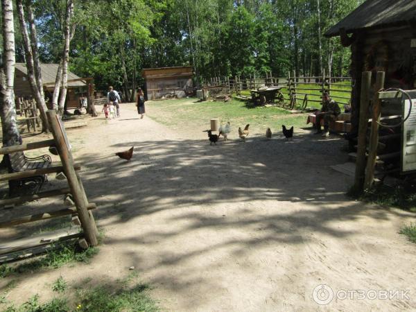 ����� ����������� ��������� ������������ (������, ������������ �������) ����